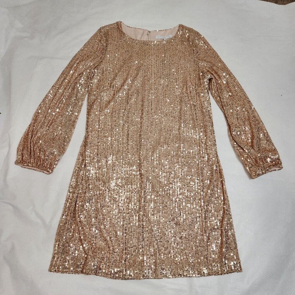 Preston & York Rosa Sequin Dress Long Blouson Sleeve Champagne Gold Size 16 (12) - Picture 4 of 15